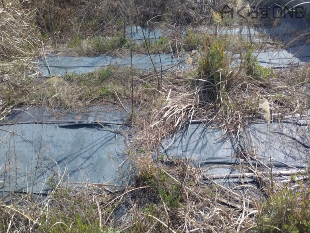 【外観】 | 姫路市木場／売土地