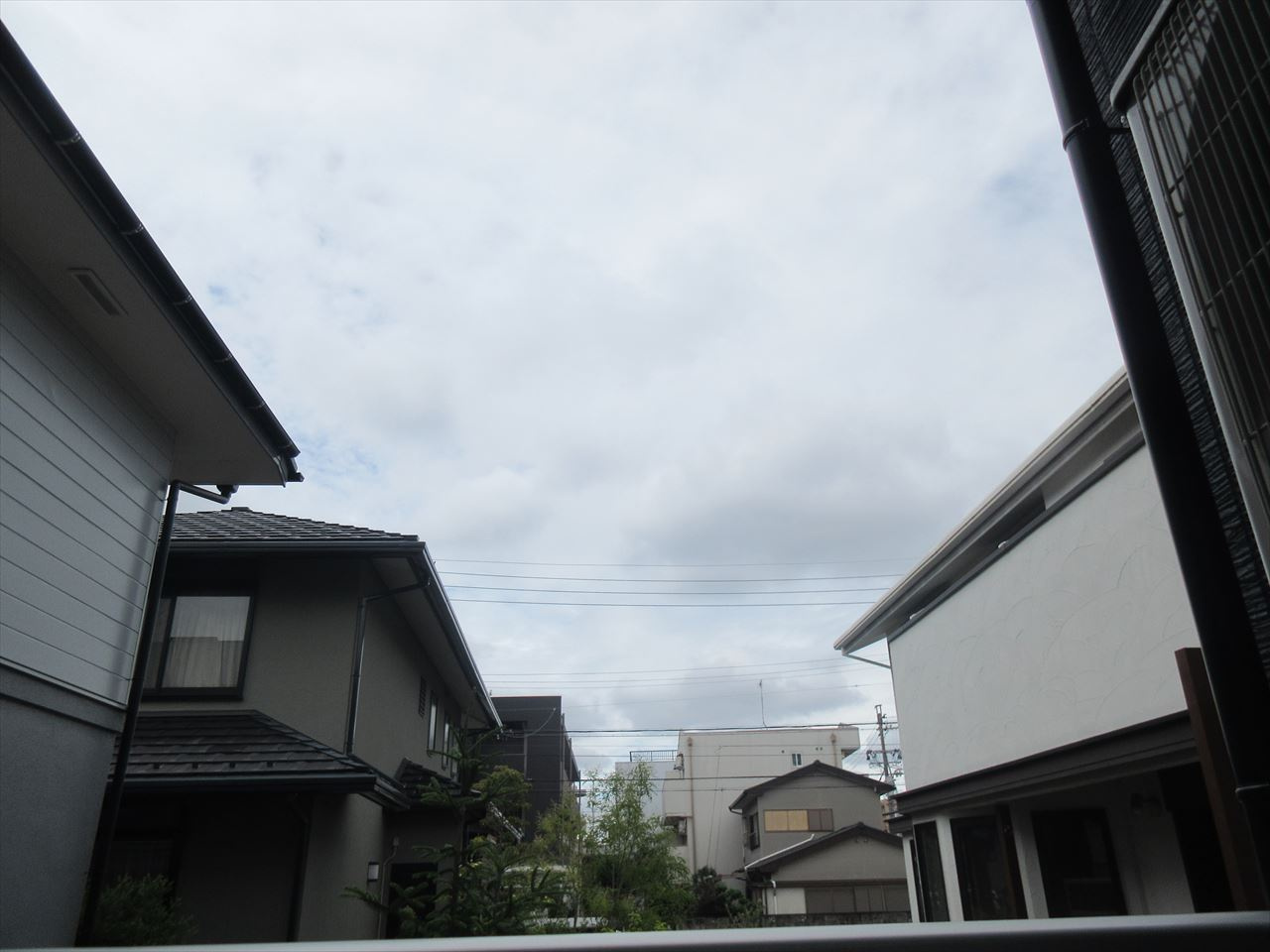 grandirの展望|grandir