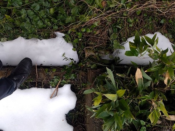 高島市今津町今津65坪土地