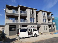 マロングロリアの画像