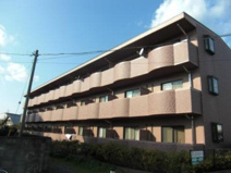 ルミエール・フレアの画像