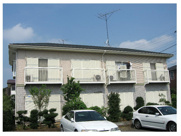 ハイツツバキの画像