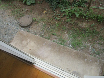 【庭】 | ハイツツバキ