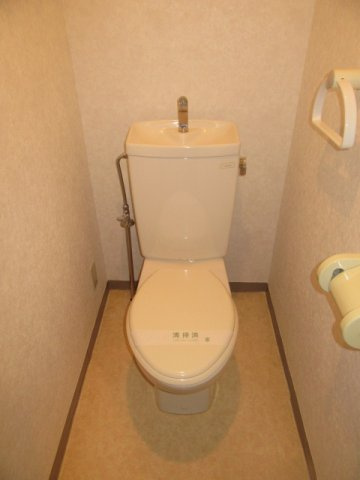 メゾンソレイユのトイレ|写真は301