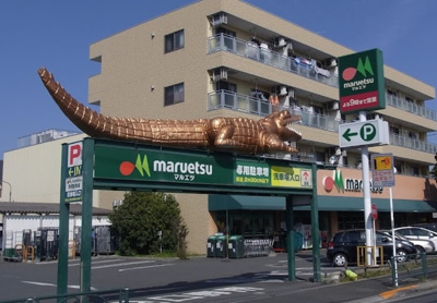 【周辺】 | バラカ　13555 | マルエツ 四葉店まで335ｍ