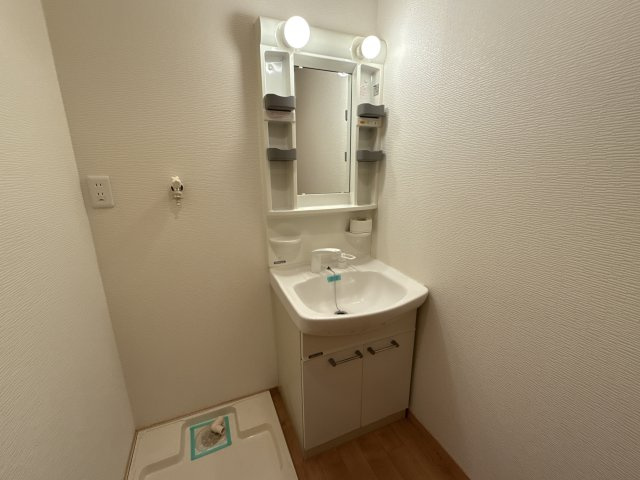 シエナフローラⅡ番館の洗面所