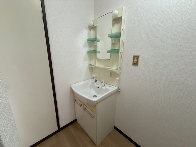 グリーンハイツ田寺の洗面所