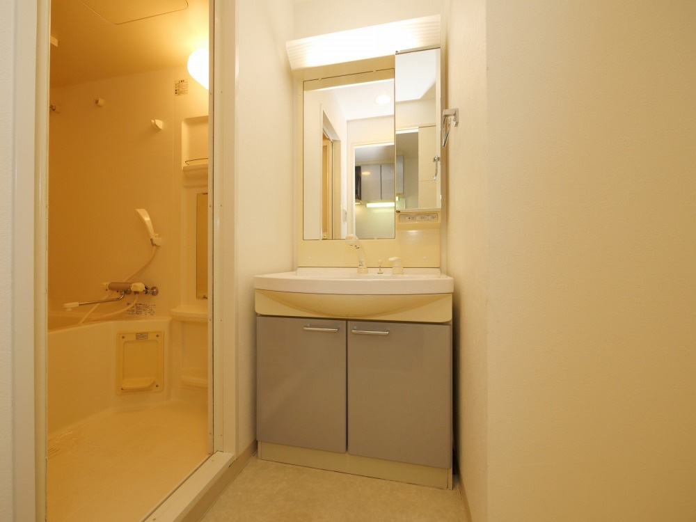 大阪市中央区南久宝寺町２丁目の賃貸マンションの洗面所