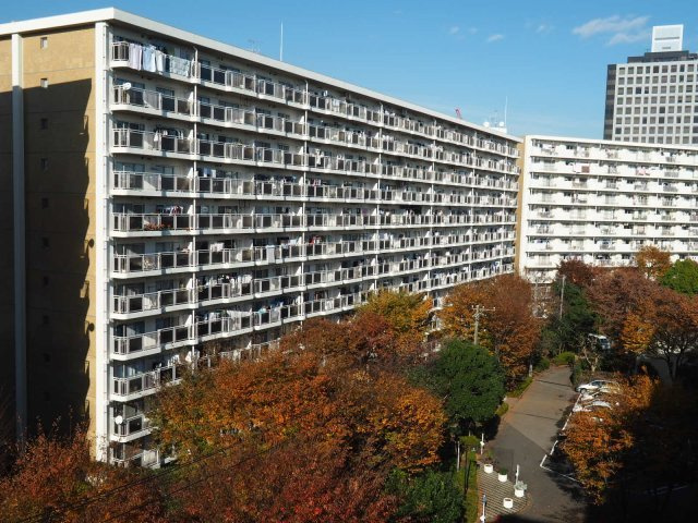 入船西エステートの画像
