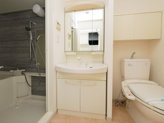 KDXレジデンス難波南の洗面所