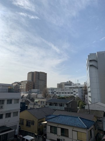 ライオンズマンション目白台シティの展望