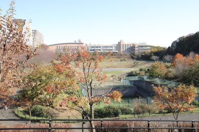 公園