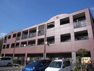 カリダ　ウェントゥスの画像