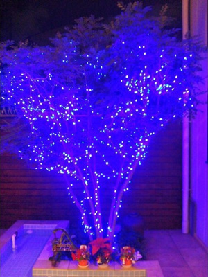 【展望】 | サングリエG