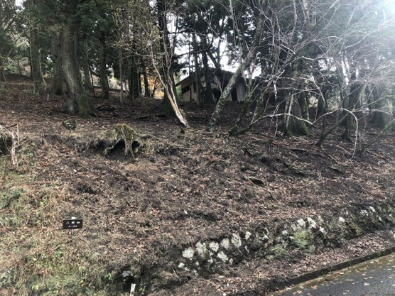 【外観】 | 東急天城高原別荘地　売地
