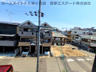 【展望】 | F asecia themis