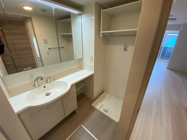 ジェンティーレ・トリヤマⅤの洗面所