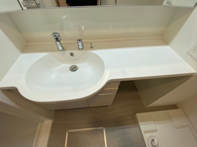 ジェンティーレ・トリヤマⅤの洗面所