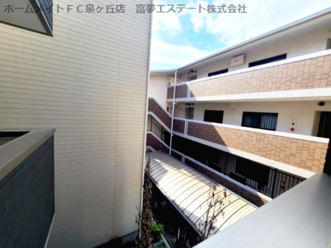 【展望】 | F asecia themis