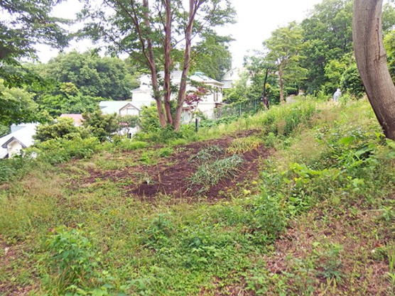 【外観】 | ゴルフガーデン分譲地　売地