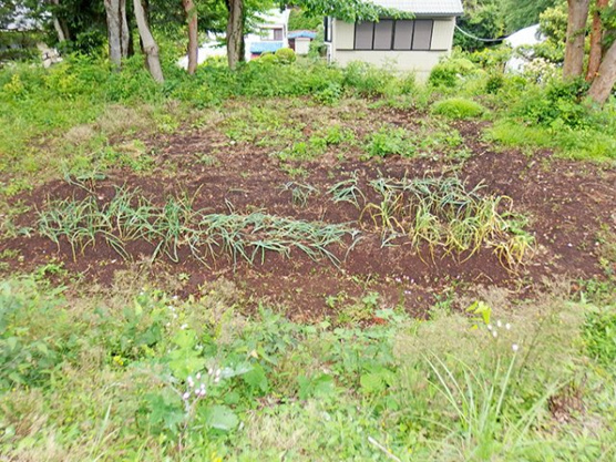 【外観】 | ゴルフガーデン分譲地　売地