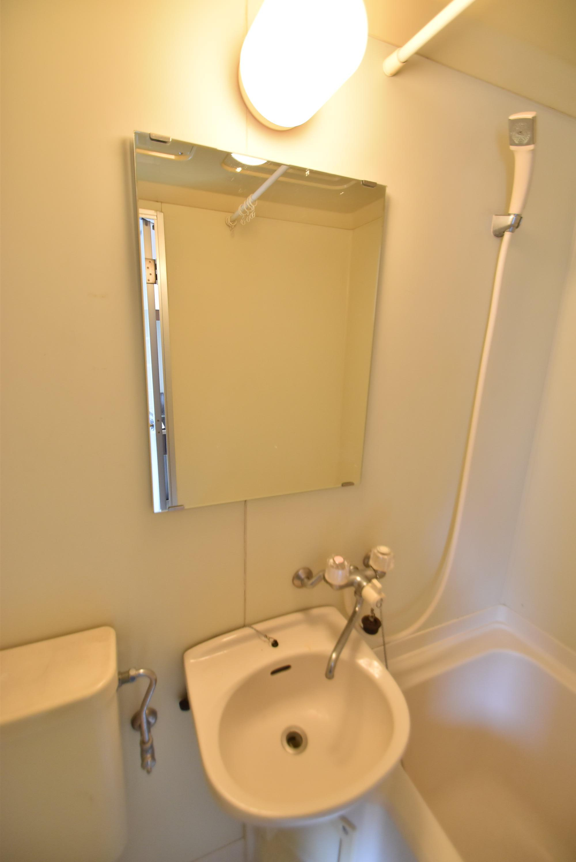 大阪市城東区野江１丁目の賃貸マンションの洗面所