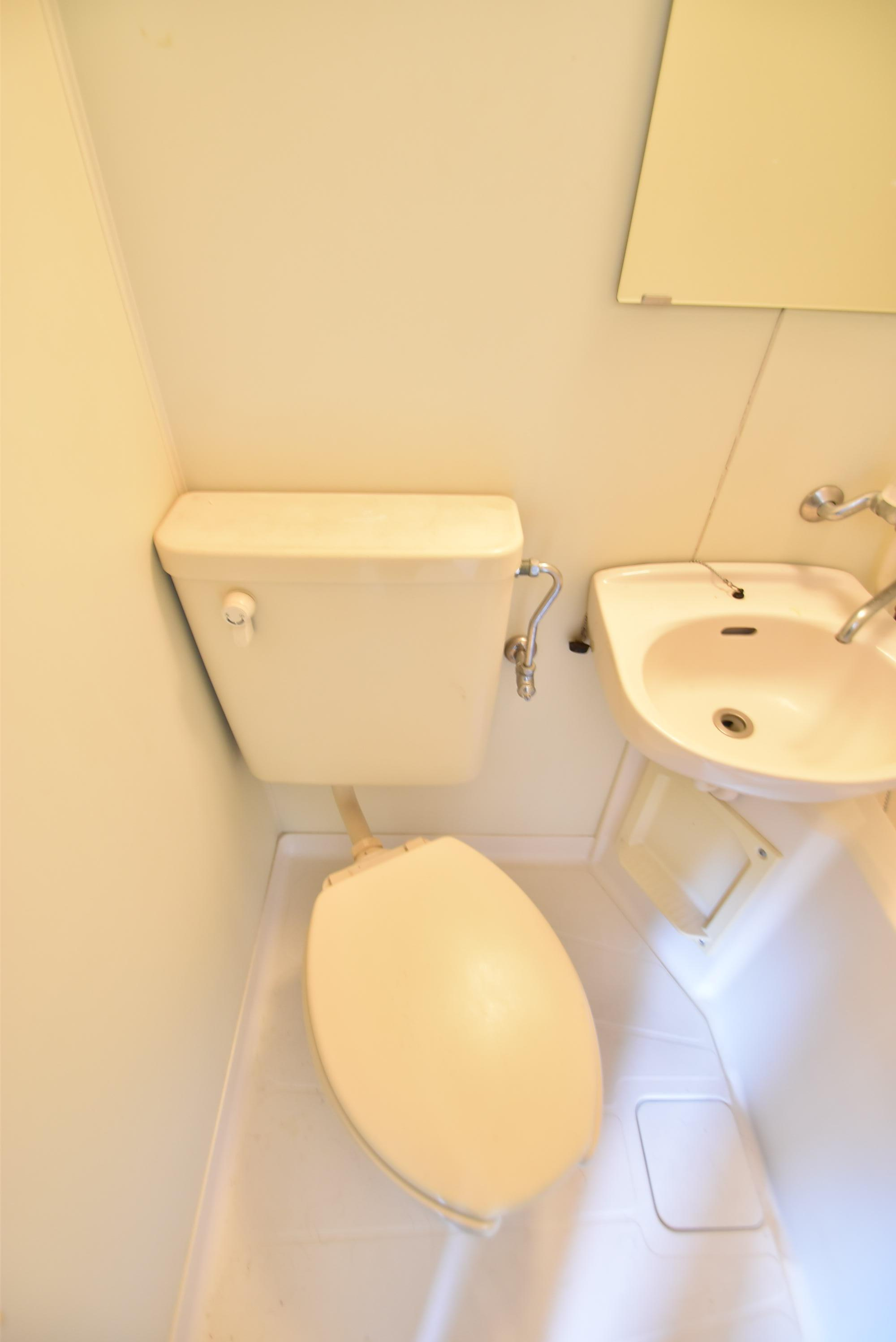 大阪市城東区野江１丁目の賃貸マンションのトイレ