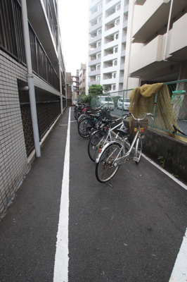 ◇玄関からの眺め◇