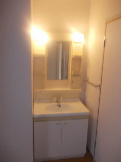 エクセル大高台の洗面所