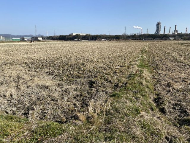 兵庫県赤穂市新田字七ノ前「田」