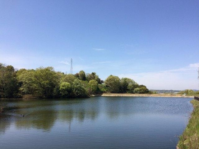 三木市自由が丘本町２丁目の売地の展望|対岸からの眺望