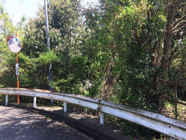 三木市自由が丘本町２丁目の売地の前面道路含む現地写真