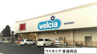 【周辺】 | ドリーム・パレス | ウェルシアまで10m