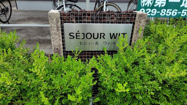 セジュールウィットのその他