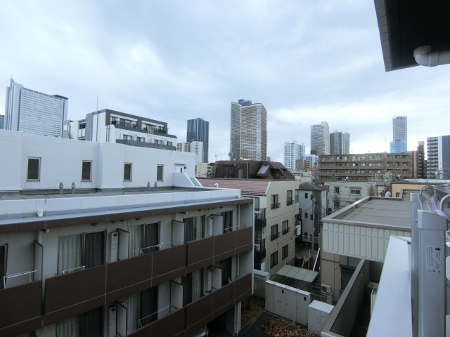 クレヴィスタ武蔵小杉の展望
