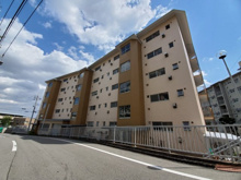 翠光ハイツの画像