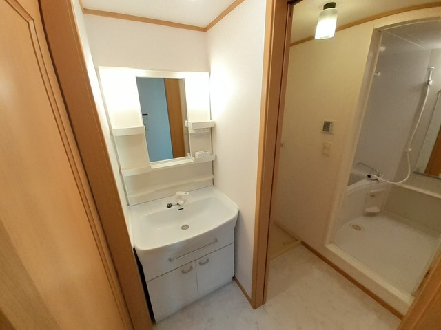 ラフィナート・パレＢの独立洗面台|洗面所