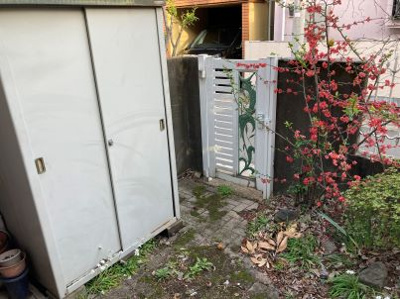 【庭】 | 岡崎邸 | 3月末撮影