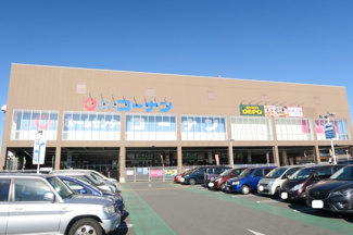 ホームセンター
