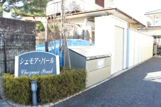 【その他】 | シェモア・パール