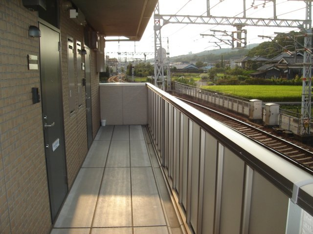 ミリカルブラⅡのその他共用部分|共用廊下です
参考、同建物・反転間取りの号室