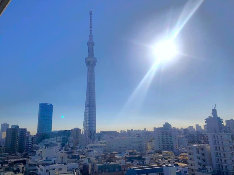ベルメゾン向島イースト　10階　角　部屋　リ　ノベーションの展望