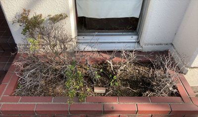 【庭】 | ポケットハイツ本厚木 | 物件によっては、入居者が個人的に使用できる専用庭がついているものもあります。また、住宅の中にある土間の部分を庭と呼ぶこともあります。庭の用途は住む人によって変わり、それによってデザインもさまざまです。