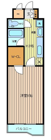PINE上杉