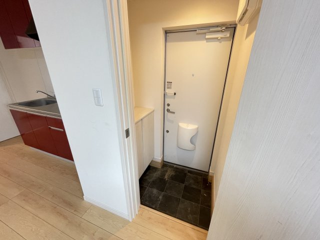 アイレガリアⅠの玄関