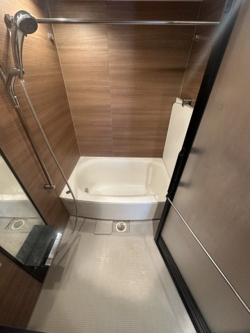 プレシス八丁堀リバーフロントの浴室