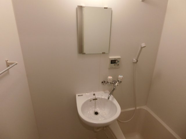 フェリースふかざわの洗面所