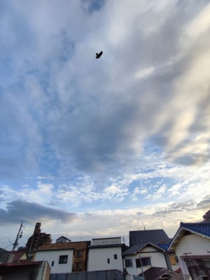 【展望】 | 千種区東千種台 全1棟　＜仲介手数料無料＞千代田橋小・千種中　新築一戸建て | キャンペーン対象物件です！詳細は弊社ホームページもしくはスタッフまでお気軽にお問合せ下さいませ♪お役に立てる自信があります。