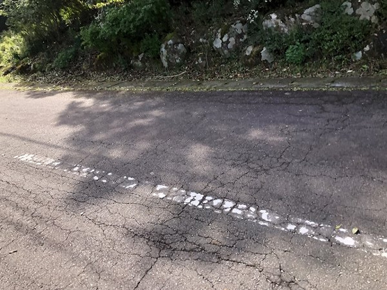 【前面道路含む現地写真】 | 宇佐美みのりの村　売地