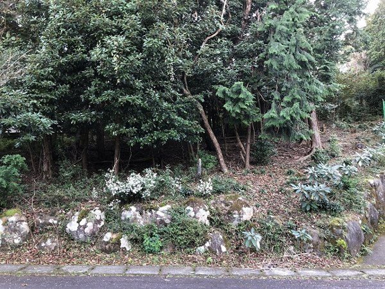 【外観】 | 宇佐美みのりの村　売地